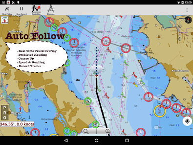 Screenshot 19