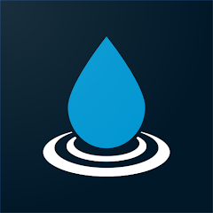 RainDrop: Virtual Rain Gauge